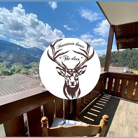 Ferienwohnung Mountain House The Deer Teser im Fleimtal Exterior foto
